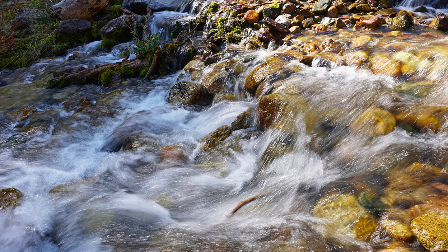 The Way of Prayer - Carmelite Spirit